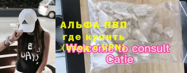 стаф Абаза