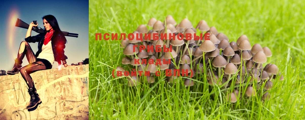 синтетический гашиш Алексеевка