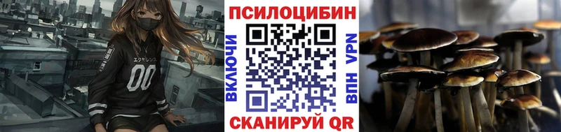 Псилоцибиновые грибы Psilocybine cubensis  Змеиногорск 